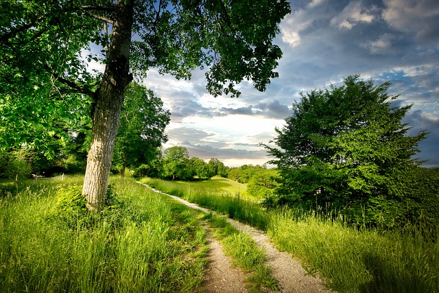 Waldweg