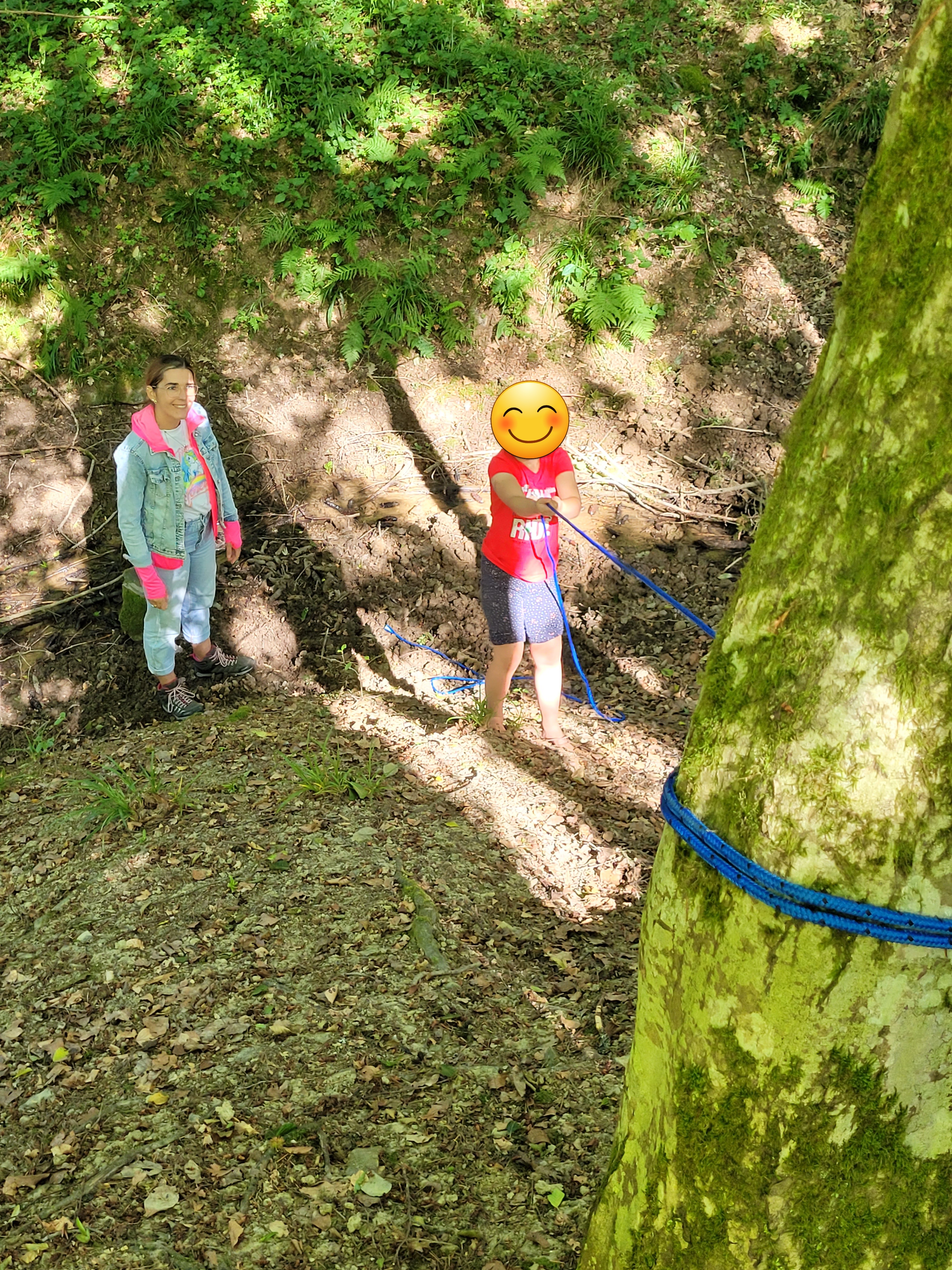 letzter Waldtag1