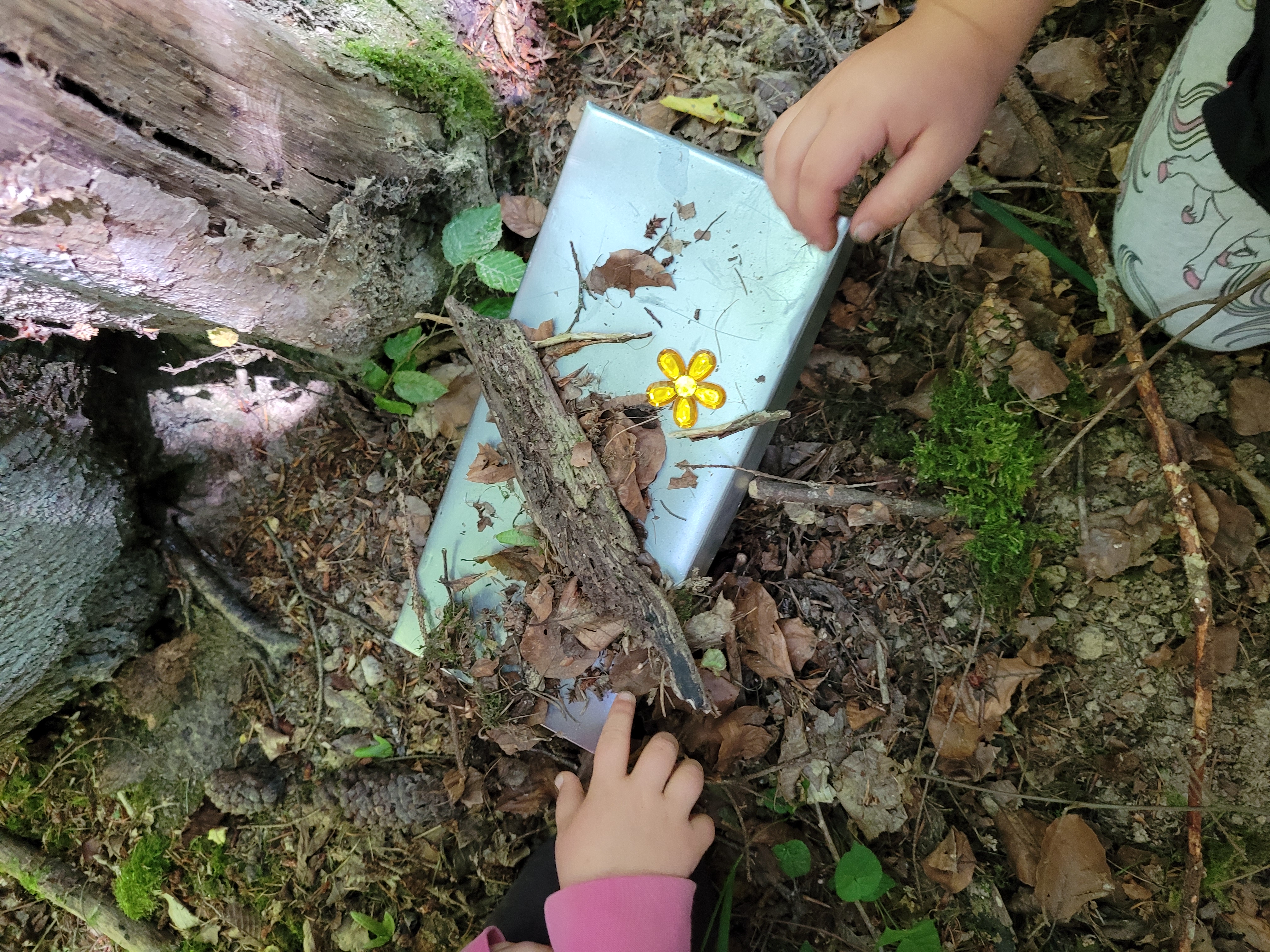 letzter Waldtag2