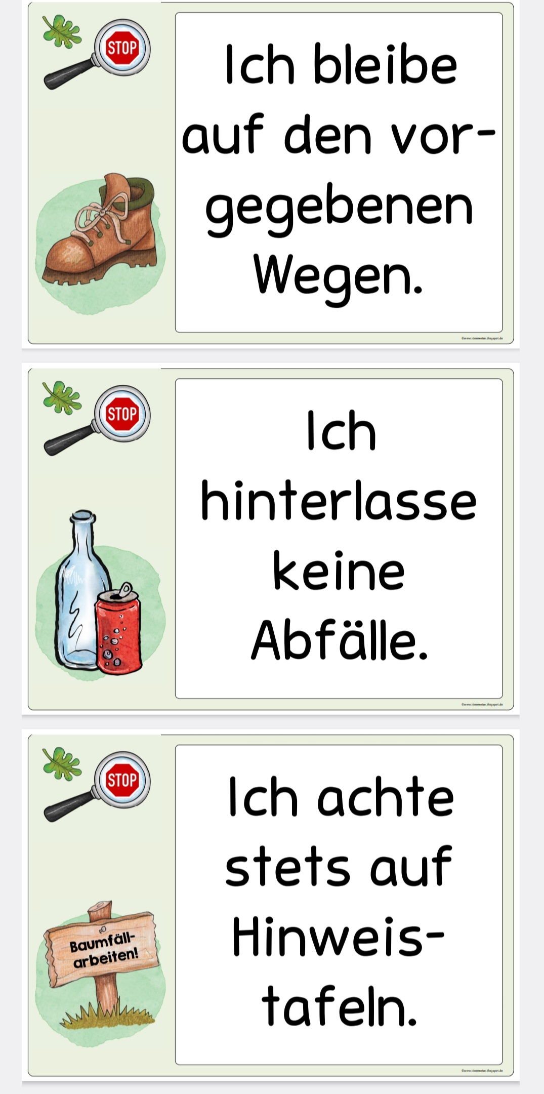 Waldwoche Nr. 2.1