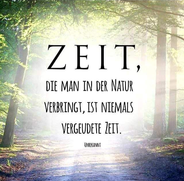 Zeit im Wald