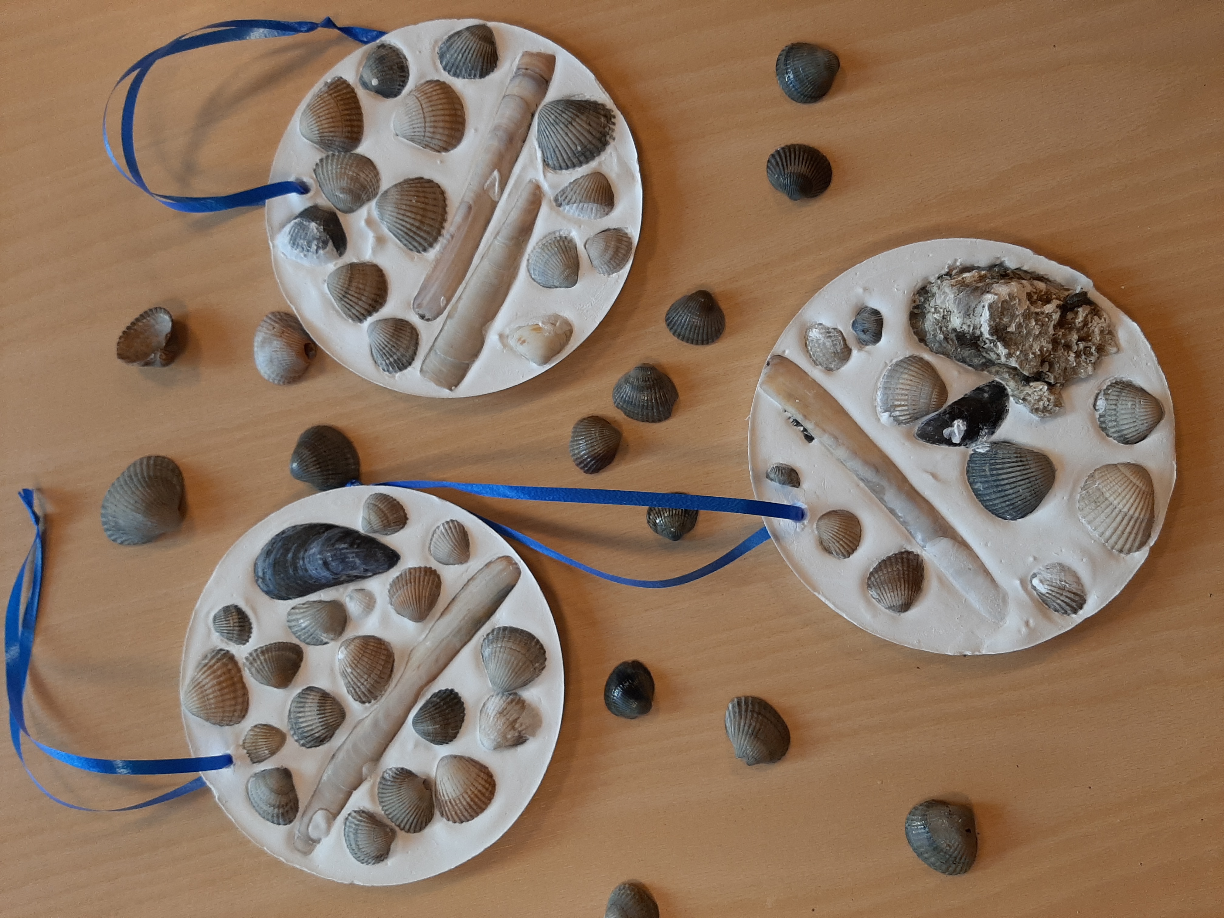 Muscheln1