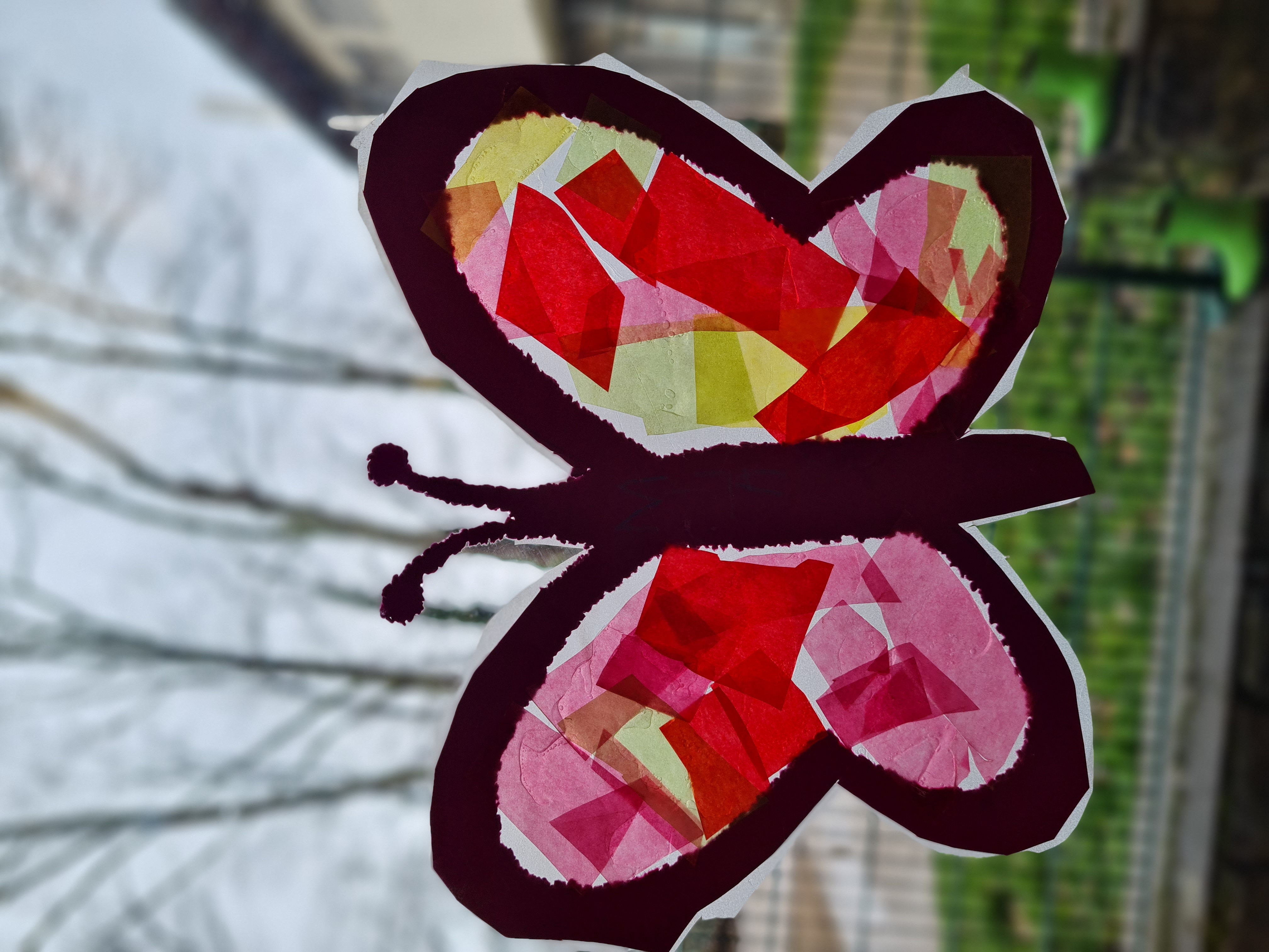 Schmetterling