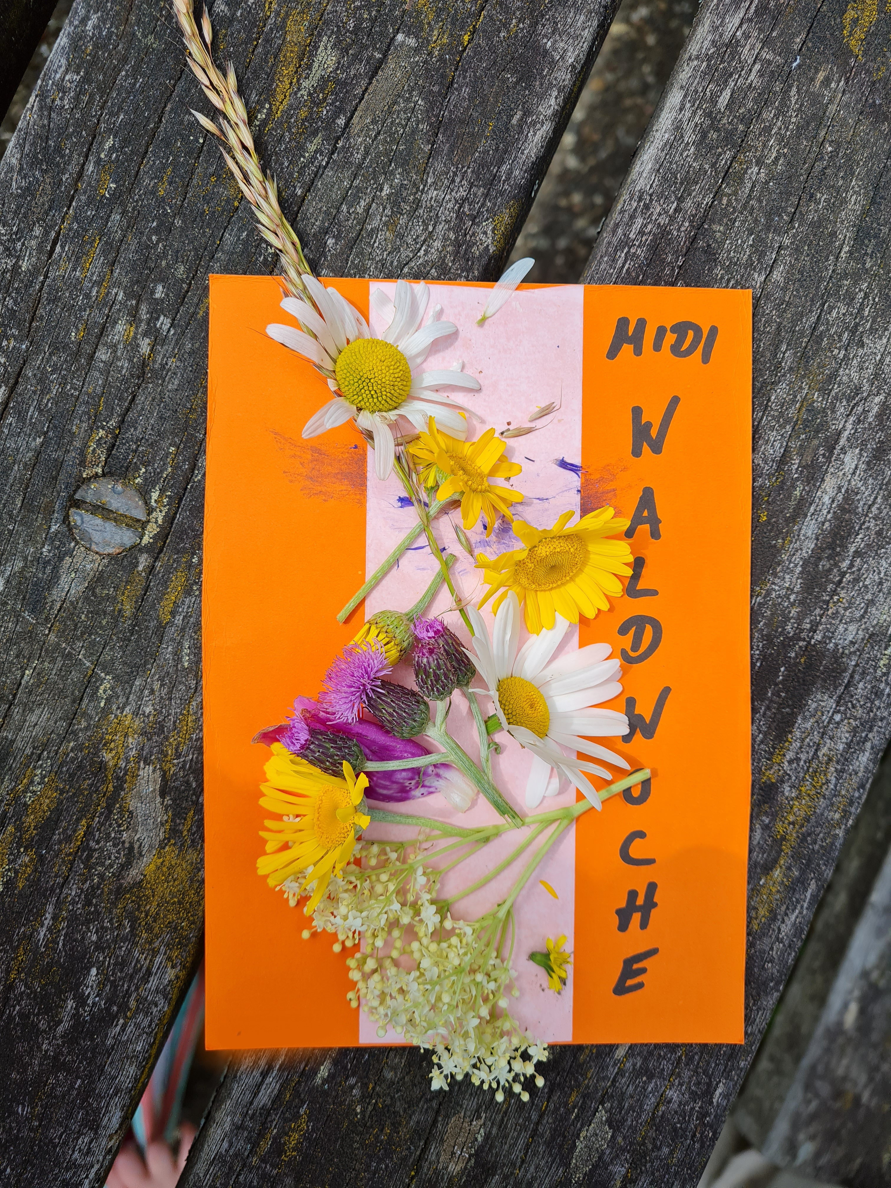 Waldwoche24