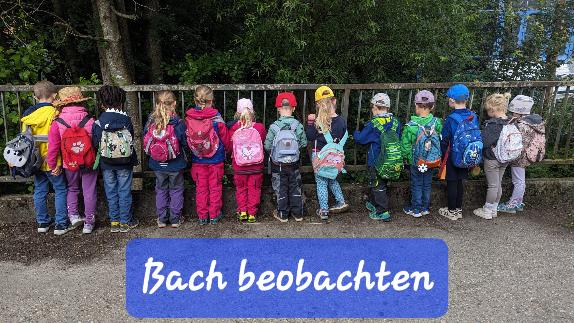 Waldwoche24