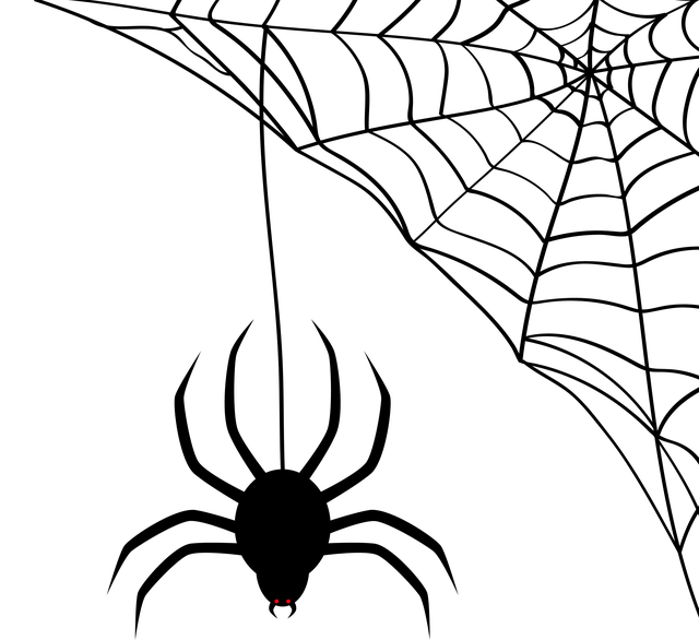 Spinne