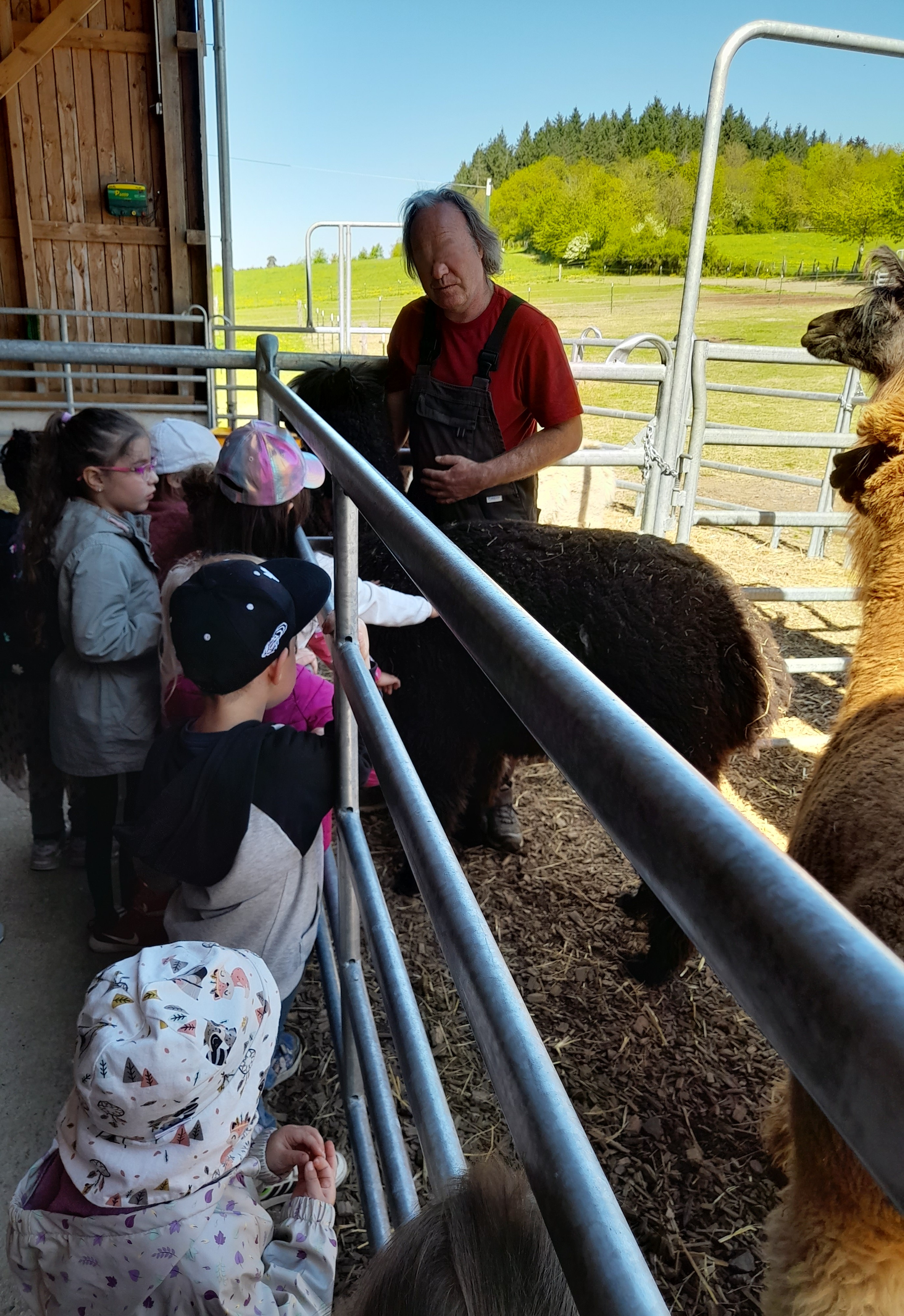 Alpakafarm