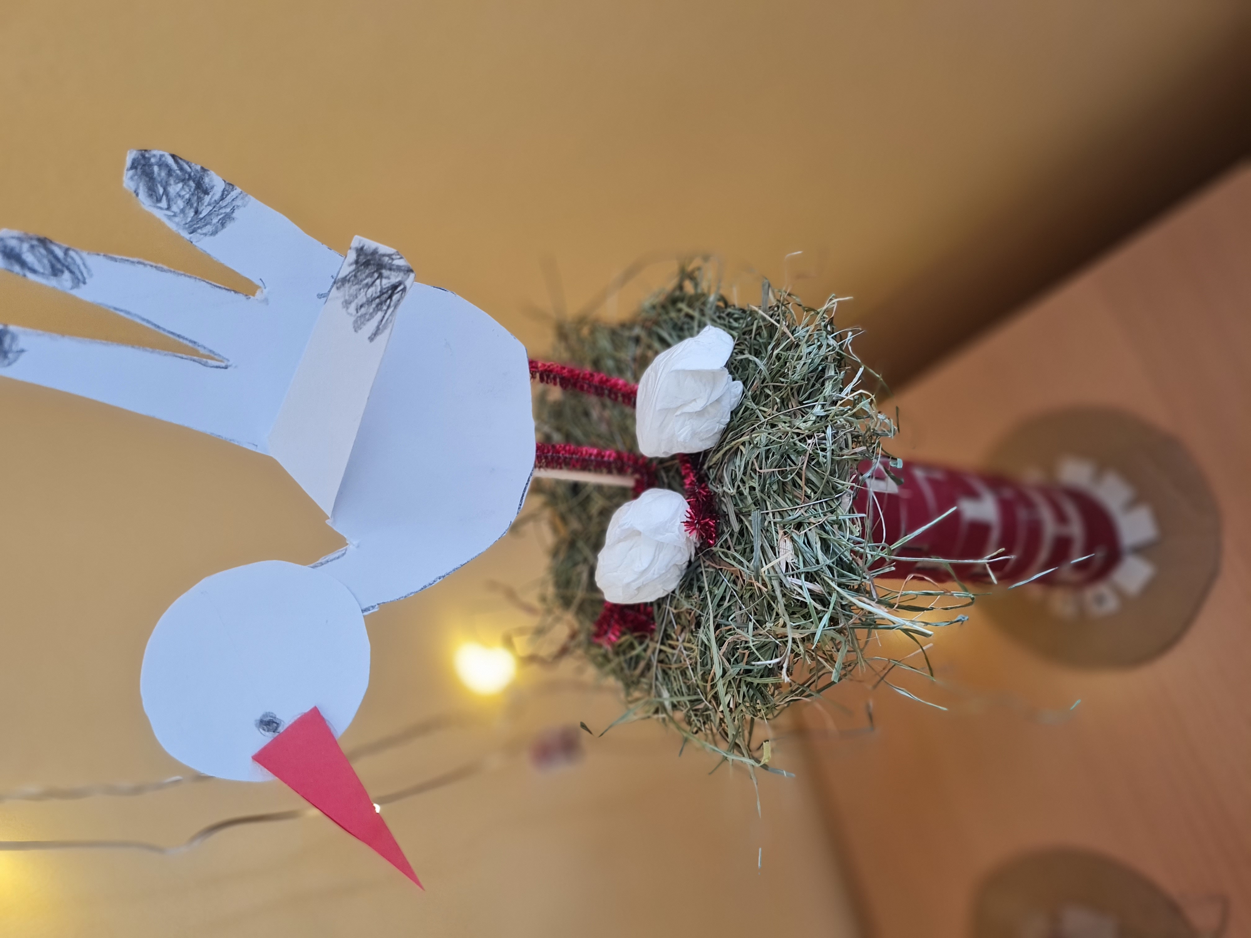 Storch6