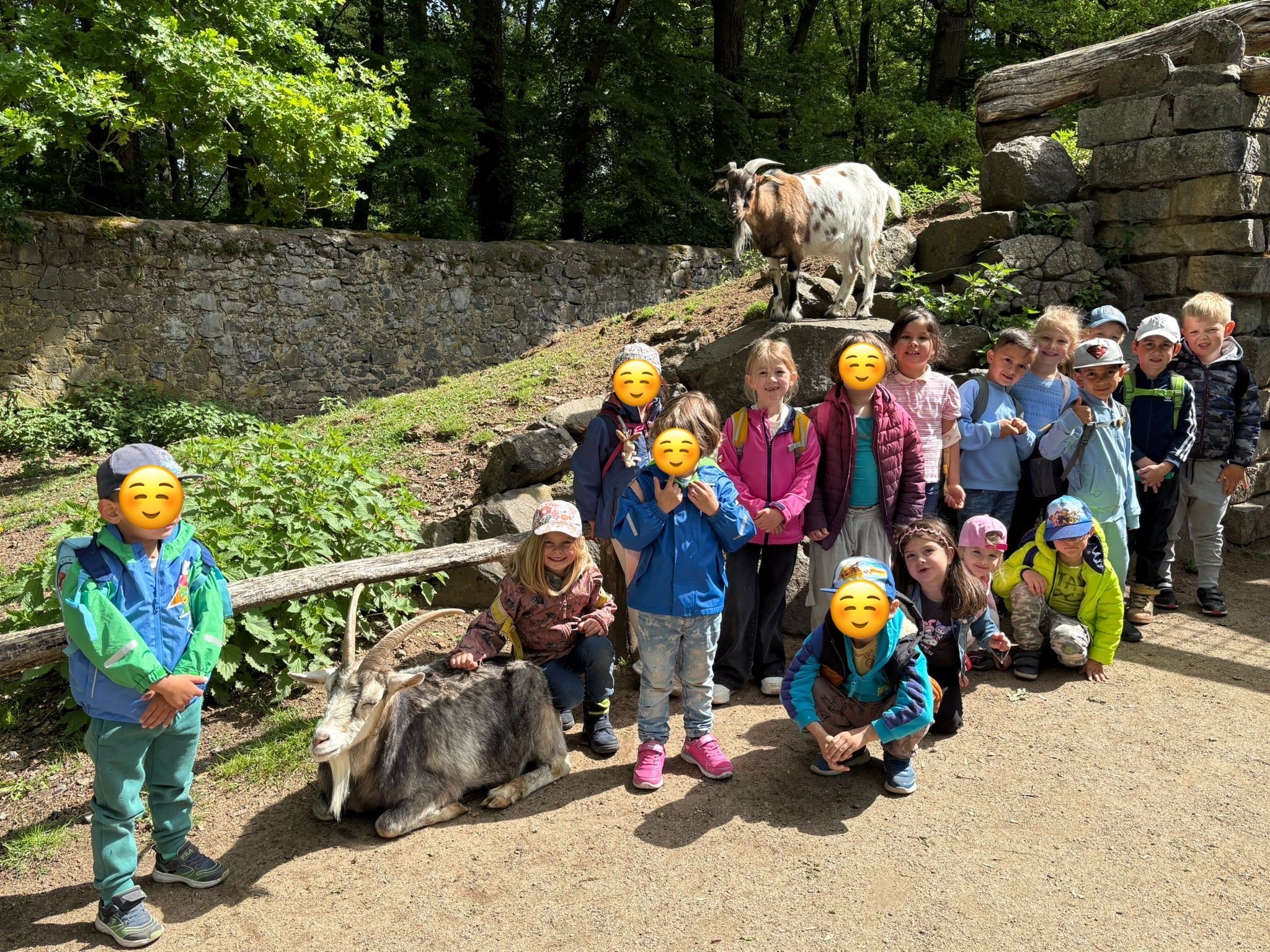 Gruppe Kindergartenkinder vor einem Gehege mit einer Ziege