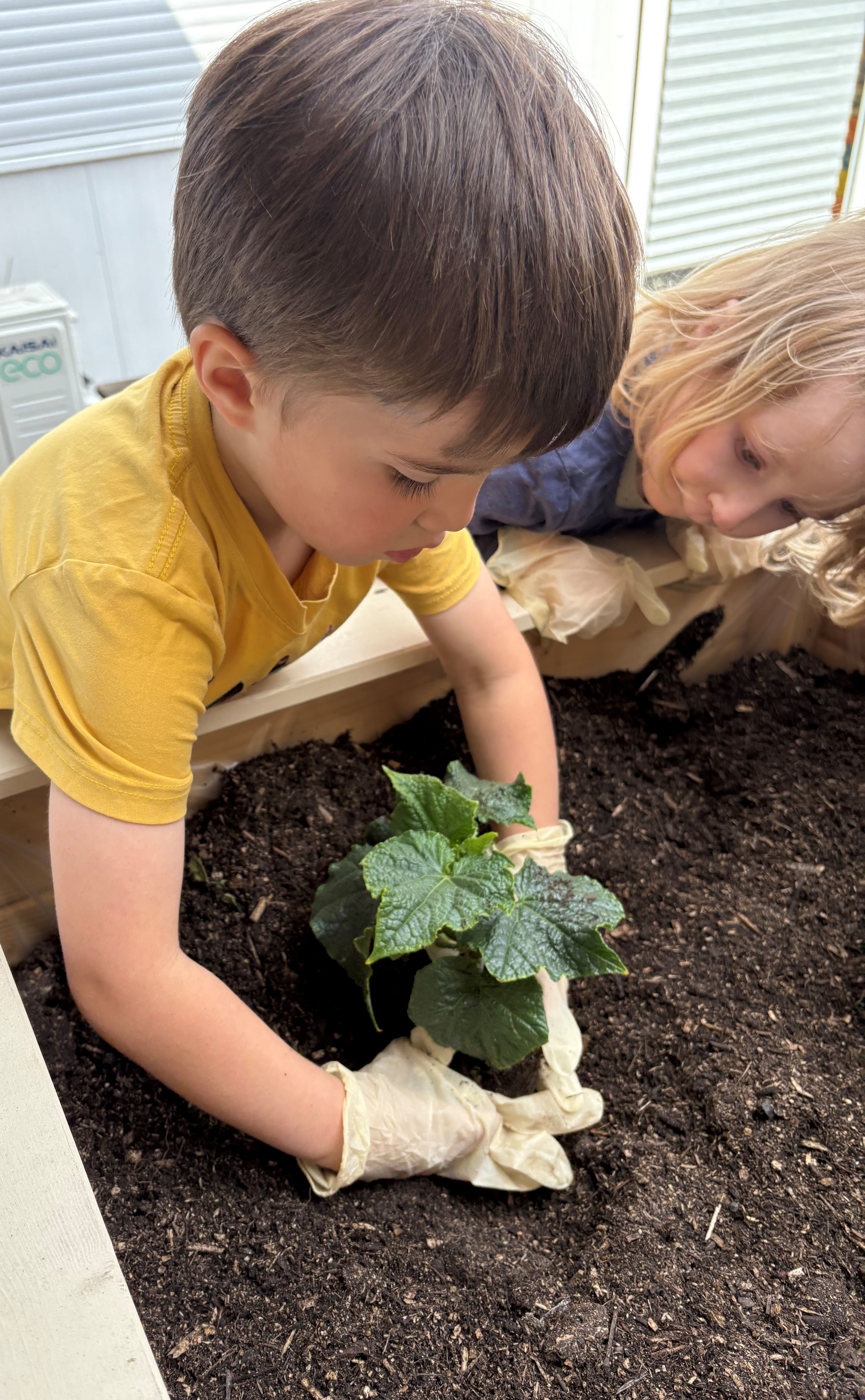Zwei Kinder beim Pflanzen im Hochbeet