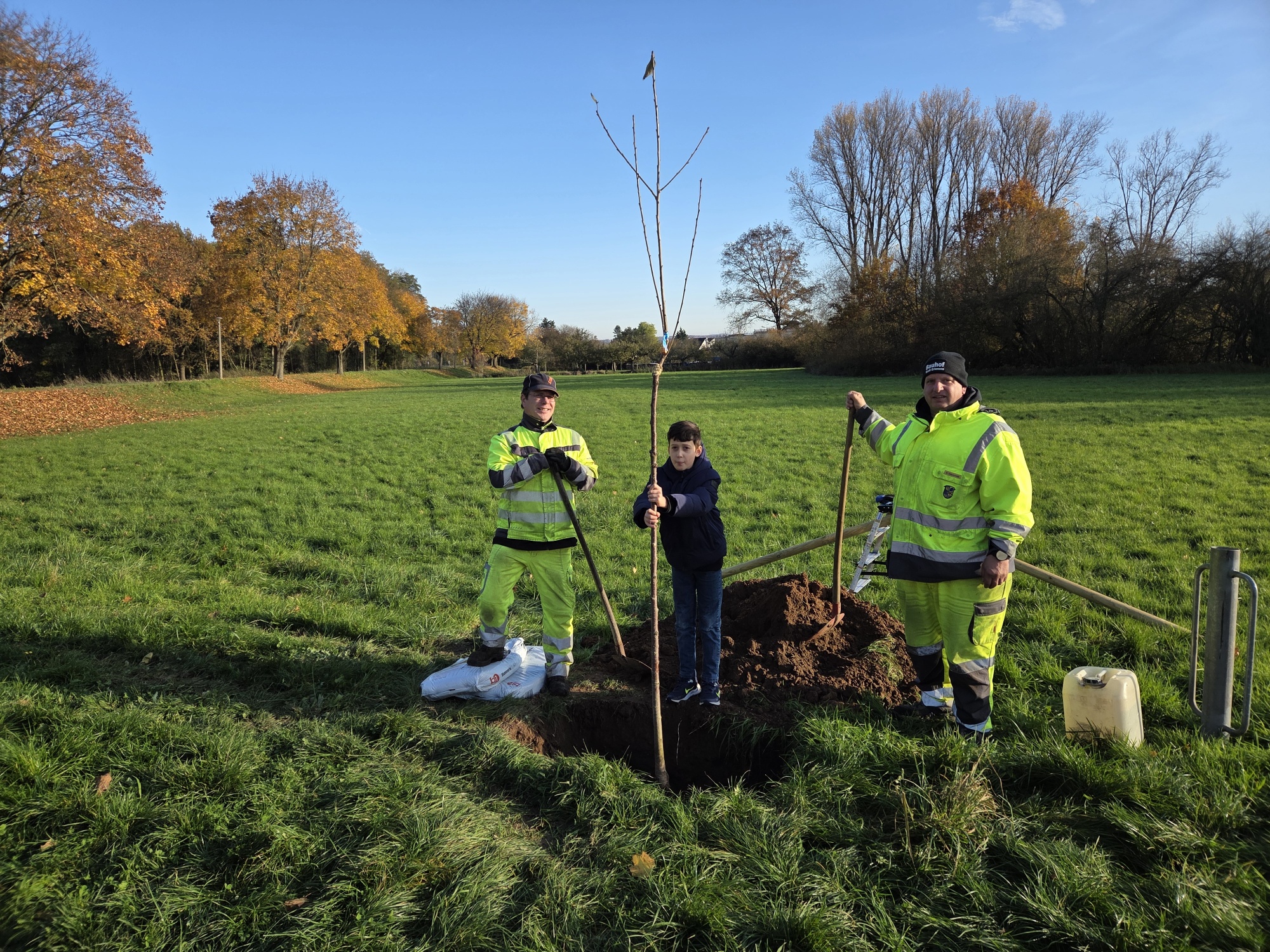 Leonard pflanzt mit zwei Bauhofmitarbeitern einen Baum im Limespark auf einer großen Wiese