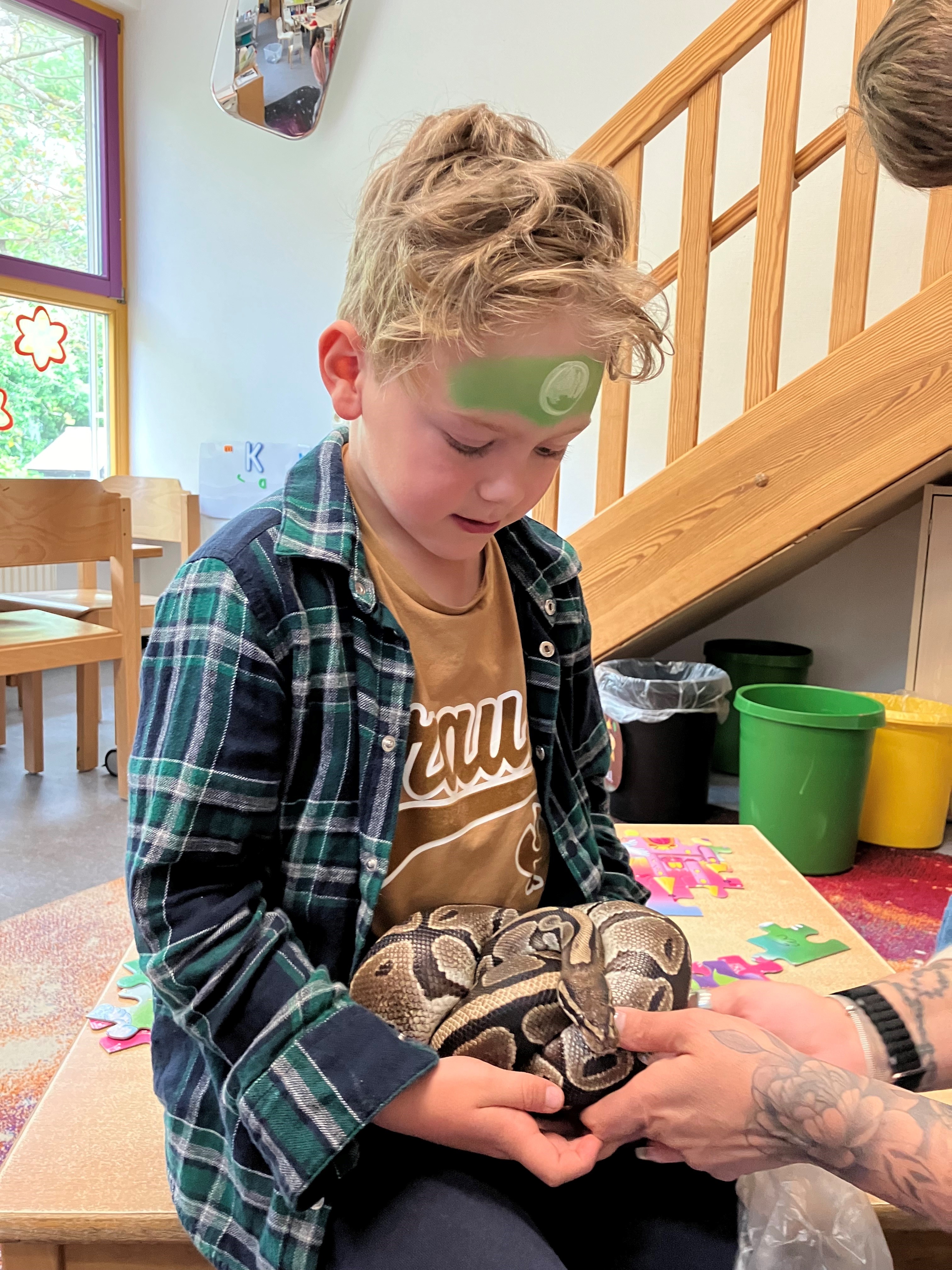 Kind mit einer Königspython auf dem Schoß