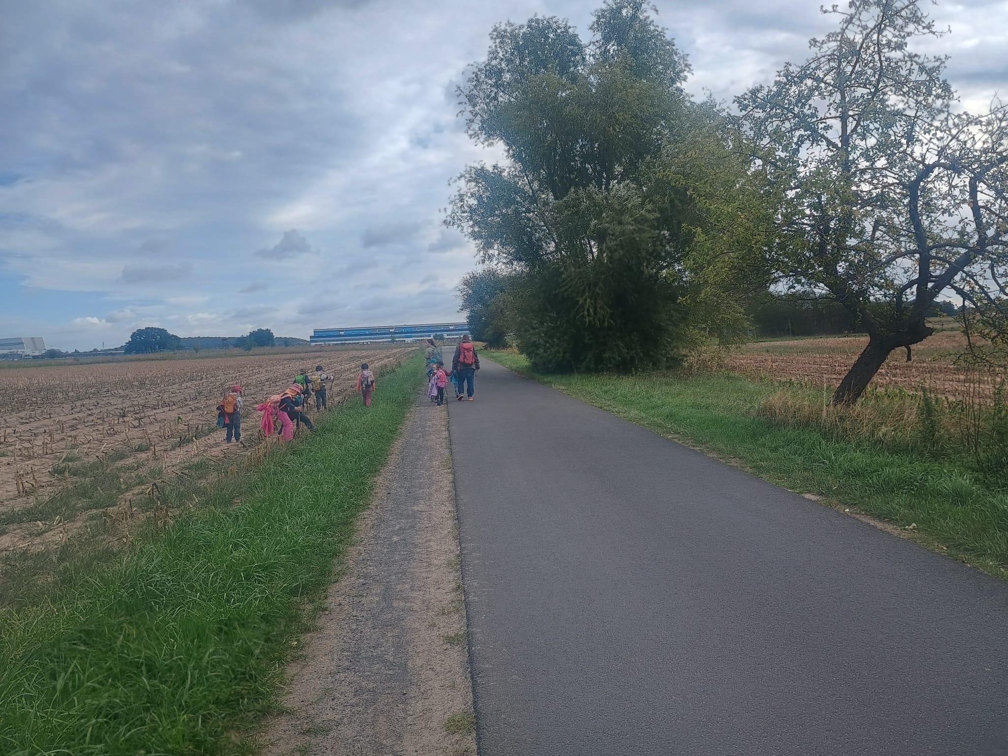 Die Raben-Gruppe der Natur-KiTa bei der Kartoffelernte