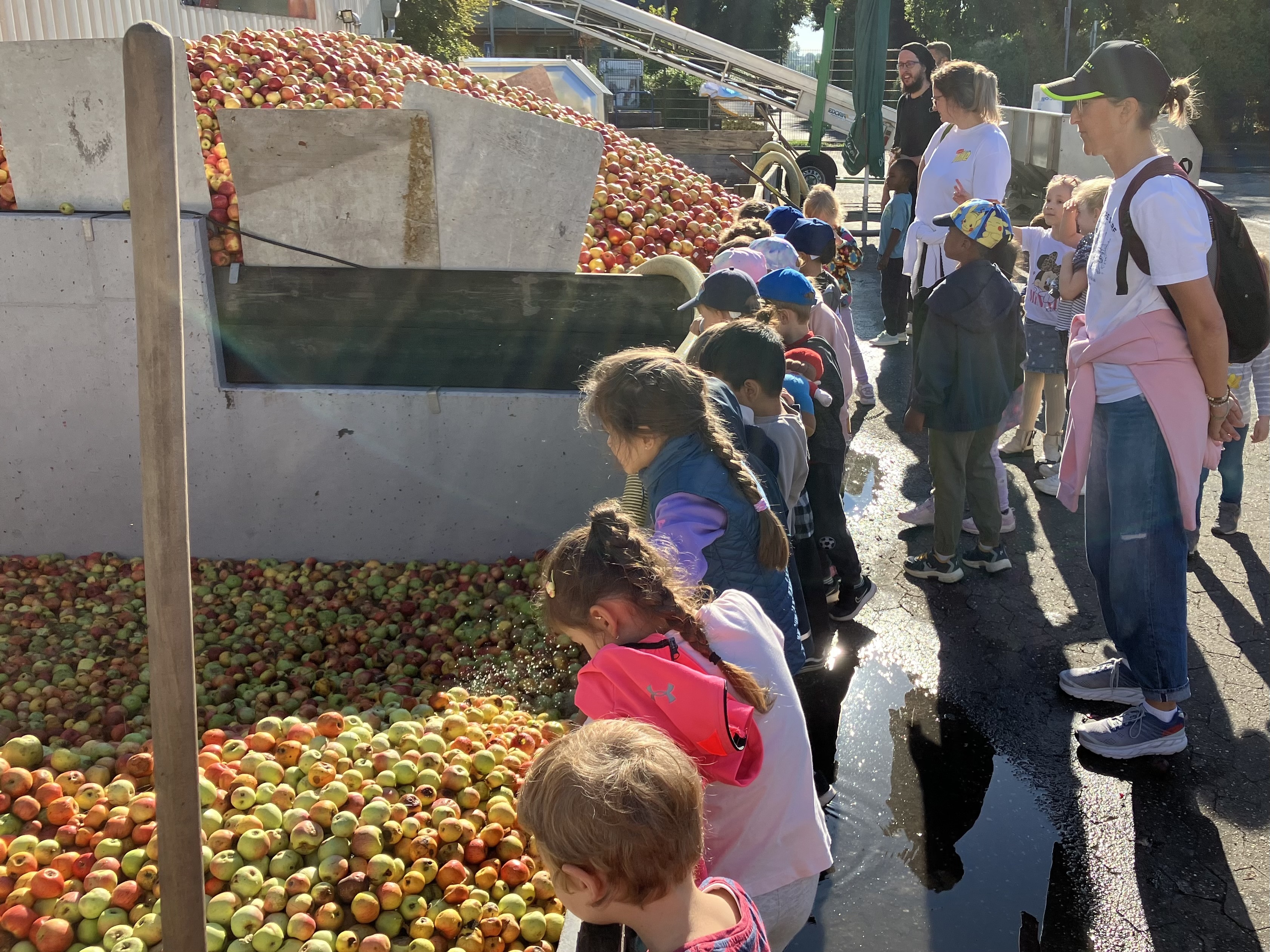 Die Kinder, Erzieherinnen und Erzieher des KiFaZ Sandweg staunen über die vielen Äpfel.