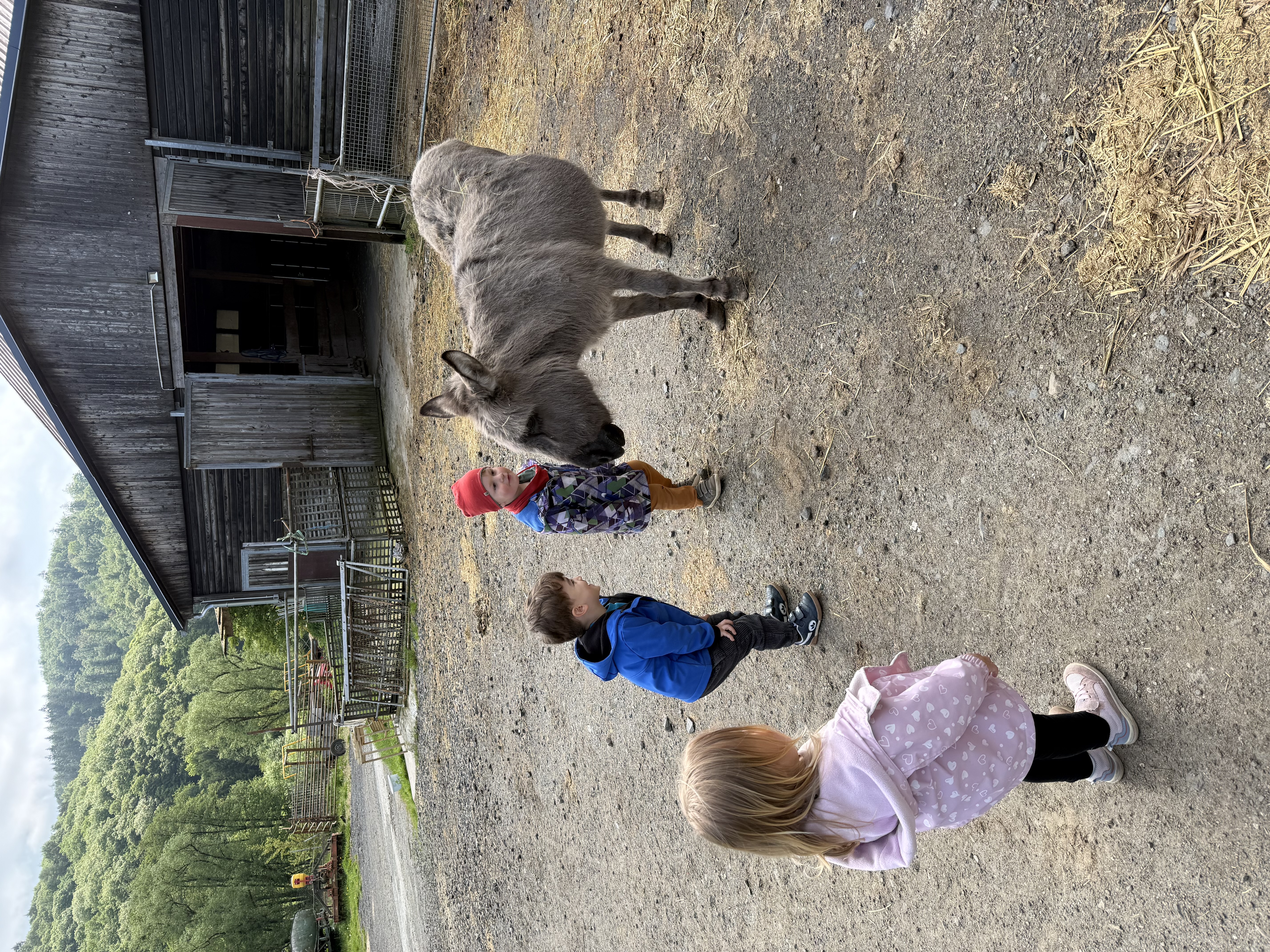 Naturwoche2
