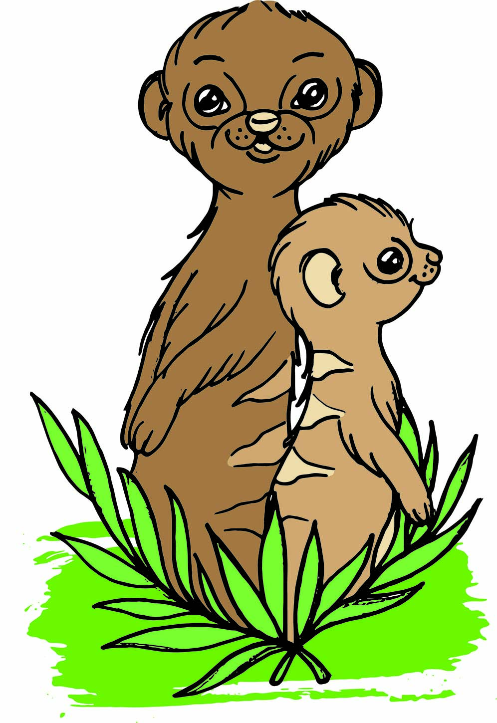 Erdmännchen